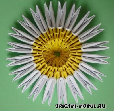 Модульне орігамі ромашка схема збірки з фоторгафии (орігамі ромашка модульна схема) Модульне орігамі ромашка схема збірки з фоторгафии