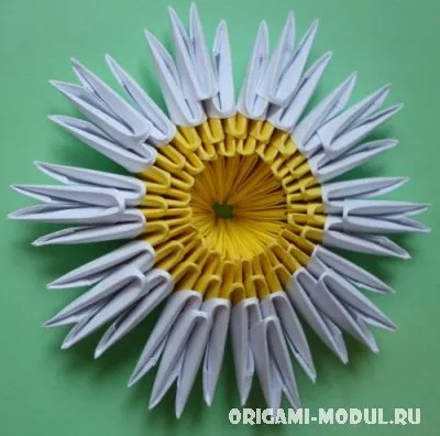 Модульне орігамі ромашка схема збірки з фоторгафии (орігамі ромашка модульна схема) Модульне орігамі ромашка схема збірки з фоторгафии
