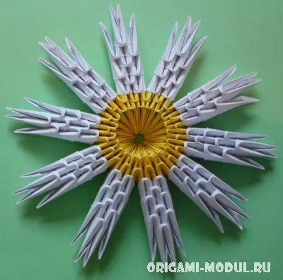 Модульне орігамі ромашка схема збірки з фоторгафии (схема) Модульне орігамі ромашка схема збірки з фоторгафии