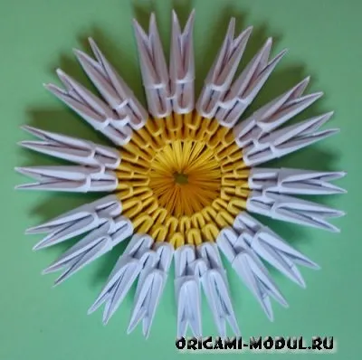 Модульне орігамі ромашка схема збірки з фоторгафии (ромашка) Модульне орігамі ромашка схема збірки з фоторгафии