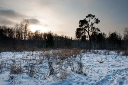 Ченці, путівник по Луганську і Луганській області (області) Ченці, путівник по Луганську і Луганській області