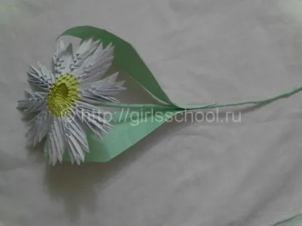 Модульне орігамі ромашка - схема зборки, жіноча школа (ромашка) Модульне орігамі ромашка - схема зборки, жіноча школа