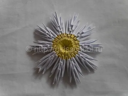 Модульне орігамі ромашка - схема зборки, жіноча школа (орігамі) Модульне орігамі ромашка - схема зборки, жіноча школа