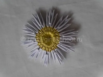 Модульне орігамі ромашка - схема зборки, жіноча школа (орігамі) Модульне орігамі ромашка - схема зборки, жіноча школа