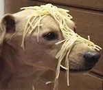 Чи можна макарони собаці