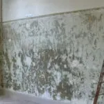 Чи можна використовувати рідкі шпалери для ванної кімнати (стіни) Чи можна використовувати рідкі шпалери для ванної кімнати