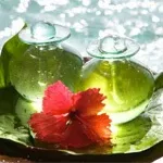 Морська косметика морська вода, бруд, водорості, сіль і інші дари моря (косметика) Морська косметика морська вода, бруд, водорості, сіль і інші дари моря