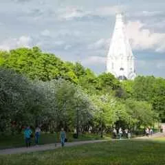 Москва, новини, до дня міста Київ отримає мережу велодоріжок в - коломенському (запустять) Москва, новини, до дня міста Київ отримає мережу велодоріжок в - коломенському
