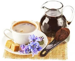 Чи можна мамі, що годує цикорій, уроки для мам (цикорій) Чи можна мамі, що годує цикорій, уроки для мам