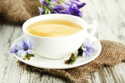 Чи можна пити цикорій при грудному вигодовуванні - гідності цикорію, вплив на маму і дитину (можна) Чи можна пити цикорій при грудному вигодовуванні - гідності цикорію, вплив на маму і дитину