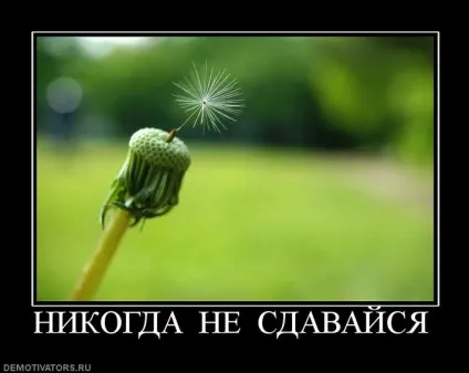Мотивуй мене на позитив! (Виконаний білому кольорі) Мотивуй мене на позитив!