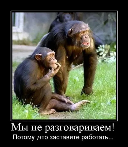 Мотивуй мене на позитив! (Позитив) Мотивуй мене на позитив!