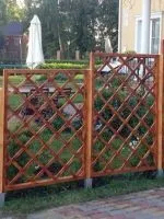 Чи можна садити в повний місяць (повний місяць) Чи можна садити в повний місяць