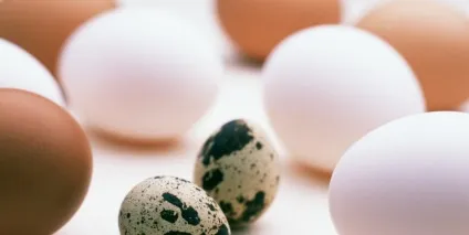 Чи можна погладшати від води - корисні поради (води) Чи можна погладшати від води - корисні поради