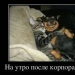 Награвся, нагулявся, мама поклала уві сні я злякався! Треба ма (мама) Награвся, нагулявся, мама поклала уві сні я злякався! треба ма