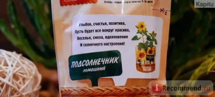 Набір для вирощування рослин вирости мене! Соняшник 8 березня, дойпак - «і не потрібні мімози мені, (набір) Набір для вирощування рослин вирости мене! Соняшник 8 березня, дойпак - «і не потрібні мімози мені,