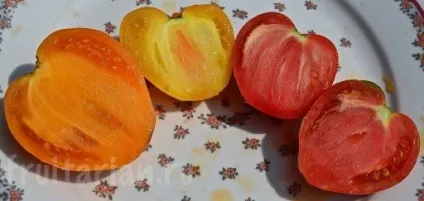 М'ясисті помідори - мої улюблені! (Помідори) М'ясисті помідори - мої улюблені!