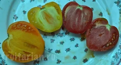 М'ясисті помідори - мої улюблені! (М'ясисті) М'ясисті помідори - мої улюблені!