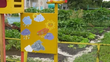Спостереження за зміною погоди (для педагогів) Спостереження за зміною погоди