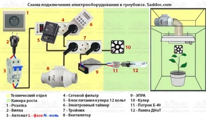Початок вирощування в гроубокса (вирощування) Початок вирощування в гроубокса