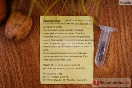 Набір для вирощування рослин вирости мене! Соняшник 8 березня, дойпак - «і не потрібні мімози мені, (набір) Набір для вирощування рослин вирости мене! Соняшник 8 березня, дойпак - «і не потрібні мімози мені,
