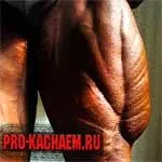 Нахили зі штангою на плечах - pro-kach - бодібілдинг для початківців