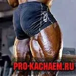 Нахили зі штангою на плечах - pro-kach - бодібілдинг для початківців