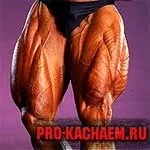 Нахили зі штангою на плечах - pro-kach - бодібілдинг для початківців