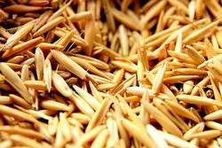 Народні методи лікування алкоголізму