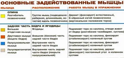 Нахили зі штангою на плечах - pro-kach - бодібілдинг для початківців