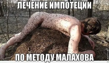 Народний засіб від імпотенції (Малахова Імпотенція лікування) Народний засіб від імпотенції