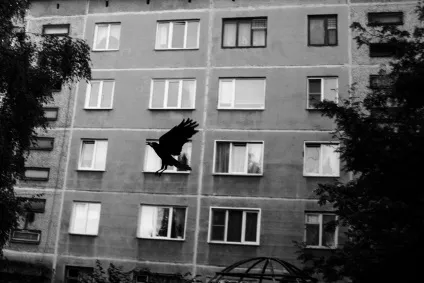 На крилах любові історія непотрібного радянського терориста, батенька, так ви трансформер (терориста) На крилах любові історія непотрібного радянського терориста, батенька, так ви трансформер