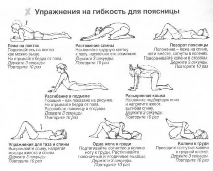 Нахили вперед зі штангою, good morning вправу, кістка широка (good) Нахили вперед зі штангою, good morning вправу, кістка широка