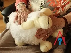 Спадкоємці першої черги після смерті бабусі - як вступити у спадок (спадкоємці) Спадкоємці першої черги після смерті бабусі - як вступити у спадок