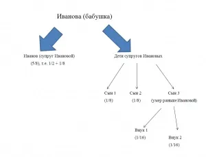 Спадкоємці після смерті бабусі