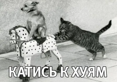 нашестя 2017