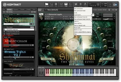 Native instruments - kontakt 5