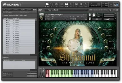 Native instruments - kontakt 5