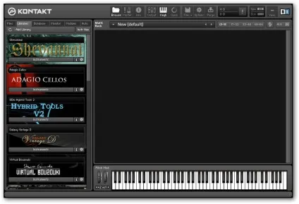 Native instruments - kontakt 5
