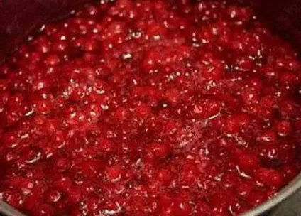Настоянка на брусниці на горілці і спирті рецепт приготування (горілка) Настоянка на брусниці на горілці і спирті рецепт приготування