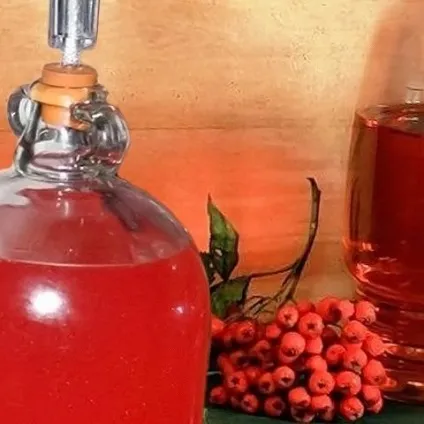 Настоянка горобини на горілці - будьте здорові (горілці) Настоянка горобини на горілці - будьте здорові