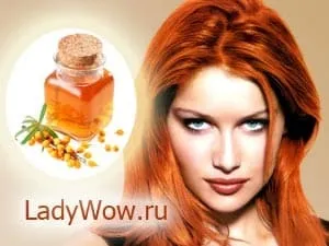 Масло обліпихи для волосся відгуки, застосування, маски (масло) Масло обліпихи для волосся відгуки, застосування, маски