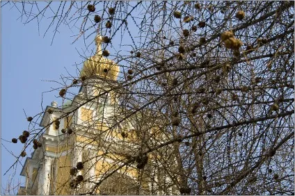 Новоспасский монастир