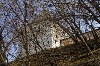 Новоспасский монастир