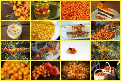 Масло обліпихи для волосся відгуки, застосування, маски (масло) Масло обліпихи для волосся відгуки, застосування, маски