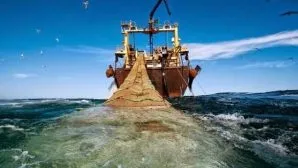 Неадекватний ростовчанин пошкодив дві припарковані у дворі машини, газета «daily» (дворі) Неадекватний ростовчанин пошкодив дві припарковані у дворі машини, газета «daily»