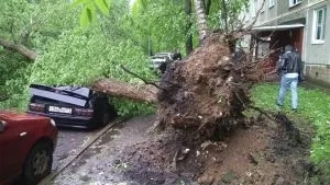 На вулиці під час буревію, азбука здоров'я (робити) На вулиці під час буревію, азбука здоров'я