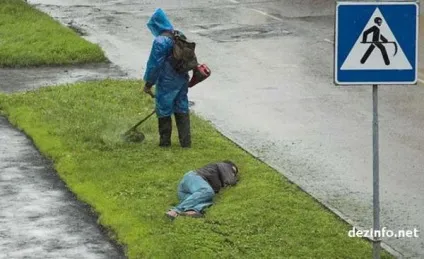 Нажерся як свиня