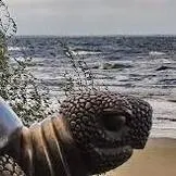 Чи не вимикається світло в кімнаті