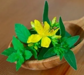 Неврастенія симптоми і лікування народними засобами (неврастенія) Неврастенія симптоми і лікування народними засобами